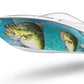 Bass Fish