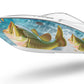 Fishing Bass